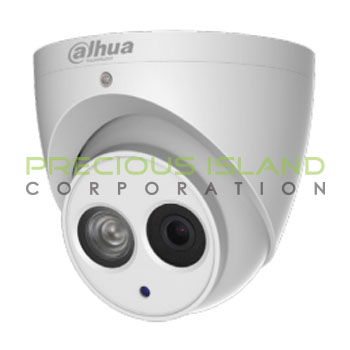 4MP IR Eyeball Network Camera