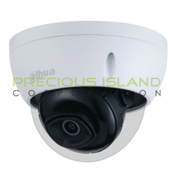 2MP IR Mini Dome Network Camera