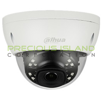 2MP IR Mini Dome Network Camera