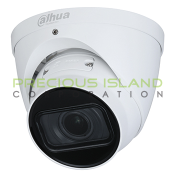 2MP WDR IR Eyeball Network Camera