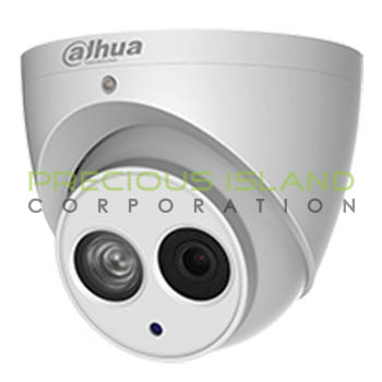 4MP IR Eyeball Network Camera