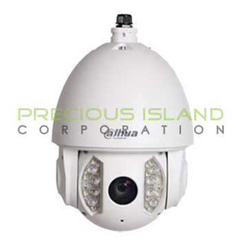 1 Megapixel 720P HDCVI IR PTZ Dome Camera