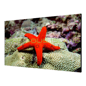 55 Inch LCD Display