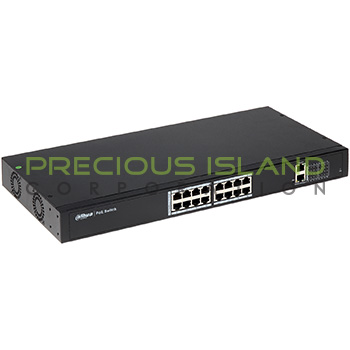 16 Port PoE switch