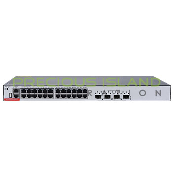 Ruijie Gigabit Switch